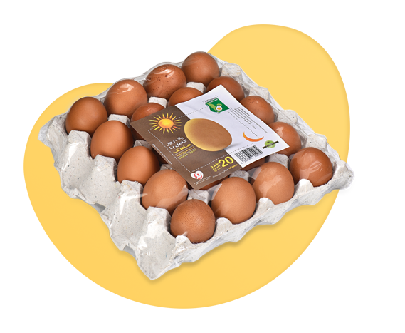 mahak egg