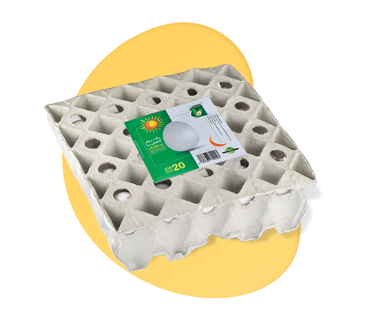 mahak egg